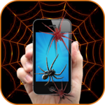 Spider on screen Joke for PC
