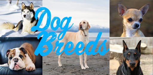Dog Breeds (Types) PC screenshot