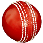 Cricket Coaching Tutorials for PC Cricket Coaching Tutorials for PC