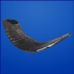 Shofars & Trumpets for PC