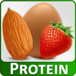 High Protein Diet Sources Food icon
