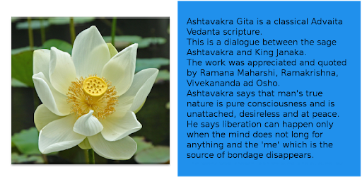 Ashtavakra Gita PC screenshot