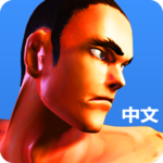 Kungfu Punch CN for PC Kungfu Punch CN for PC