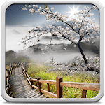 Perfect Sunrise Live Wallpaper icon