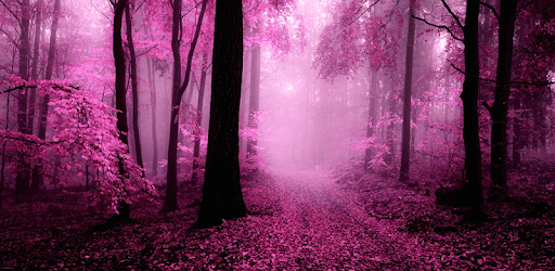 Pink Forest Live Wallpaper PC screenshot Pink Forest Live Wallpaper PC screenshot