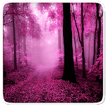 Pink Forest Live Wallpaper for PC Pink Forest Live Wallpaper for PC