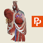 Thorax: 3D RT - Sub icon