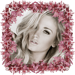 Professional Pic Frame Editor for PC Professional Pic Frame Editor for PC