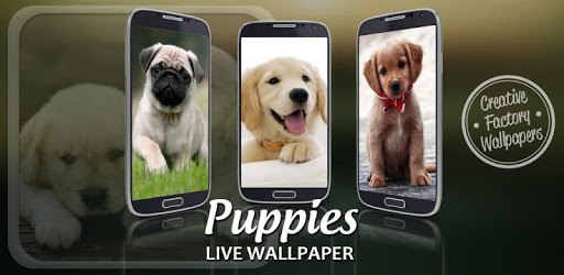 Puppies Live Wallpaper PC screenshot