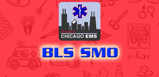 Region XI BLS SMO PC screenshot