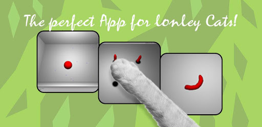 Cat Toys 3D - 3in1 Games PC screenshot