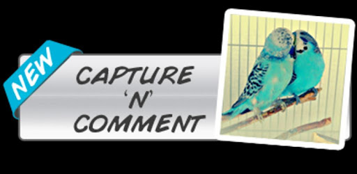 Capture 'N' Comment PC screenshot Capture 'N' Comment PC screenshot