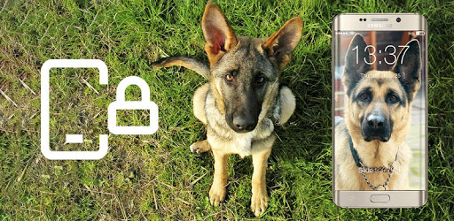 German Shepherd Faithful Dog Lock Screen Password PC screenshot