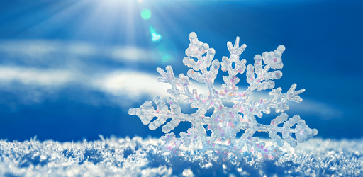 Snow Live Wallpaper PC screenshot