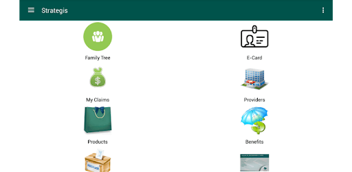 Strategis Insurance Tanzania PC screenshot Strategis Insurance Tanzania PC screenshot