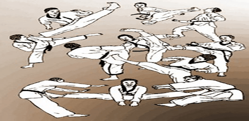 Teakwondo Martial Arts Technique PC screenshot