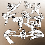 Teakwondo Martial Arts Technique icon