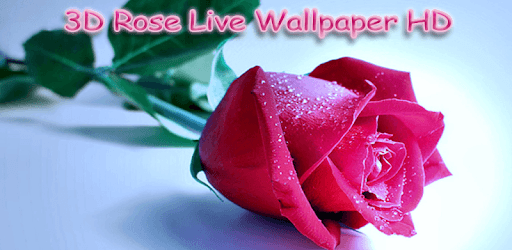 3D Rose Live Wallpaper HD PC screenshot 3D Rose Live Wallpaper HD PC screenshot