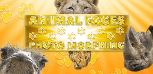 Animal Faces - Photo Morphing PC screenshot Animal Faces - Photo Morphing PC screenshot
