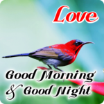 Good Morning & Good Night Wishes Love for PC Good Morning & Good Night Wishes Love for PC