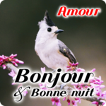 French Good Morning & Good Night Wishes Love icon