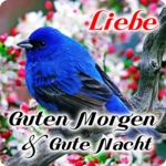 German Good Morning & Good Night Wishes Love for PC German Good Morning & Good Night Wishes Love for PC