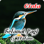 Indonesian Good Morning & Good Night Wishes Love for PC
