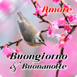 Italian Good Morning & Good Night Wishes for PC Italian Good Morning & Good Night Wishes for PC