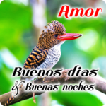 Spanish Good Morning & Good Night Wishes Love icon