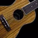 Easy Ukulele - Ukulele Tuner for PC