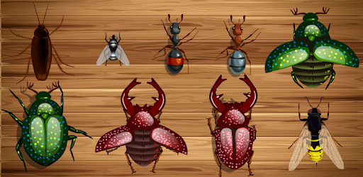 Ant Smasher - Ants Smasher PC screenshot