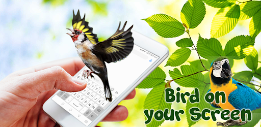 Birds Flying on Screen: Funny Gifs App PC screenshot Birds Flying on Screen: Funny Gifs App PC screenshot