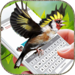 Birds Flying on Screen: Funny Gifs App for PC Birds Flying on Screen: Funny Gifs App for PC