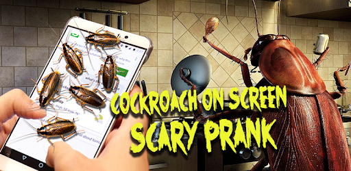 Cockroach on Screen – Funny Joke with Fake Bugs PC screenshot