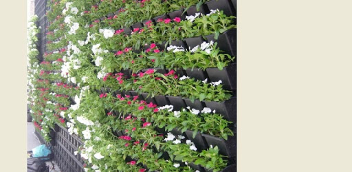Vertical Garden Ideas PC screenshot Vertical Garden Ideas PC screenshot