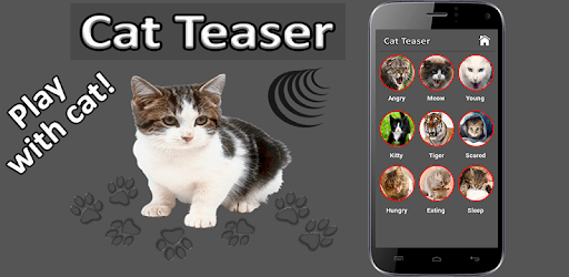 Cat Teaser PC screenshot Cat Teaser PC screenshot