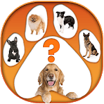 What Dog are You Test App for PC