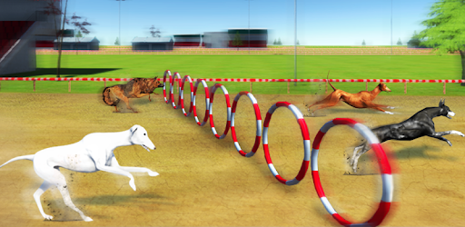 Crazy Greyhound Racing 2018 - Wild Dog Racing Game PC screenshot