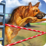 Crazy Greyhound Racing 2018 - Wild Dog Racing Game icon