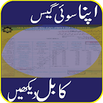 Sui Gas Bill Checker 2018-19 icon