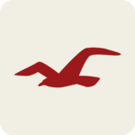 Hollister So Cal Style icon