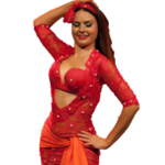 Belly Dance Amazing Drum Solo for PC Belly Dance Amazing Drum Solo for PC