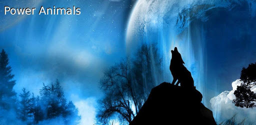 Power Animals PC screenshot Power Animals PC screenshot