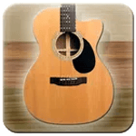 Acoustic Guitar for PC