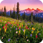 Mountain Flowers Live Wallpaper icon