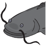Catfish Tactics & Secret Baits for PC Catfish Tactics & Secret Baits for PC