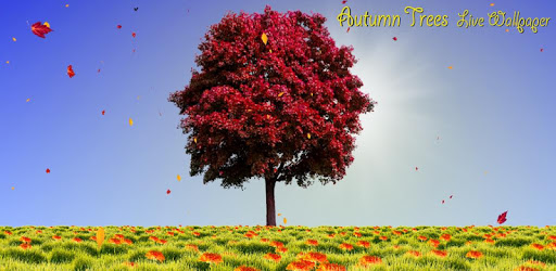 Autumn Trees Free PC screenshot
