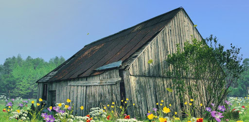 Midsummer Free LWP PC screenshot