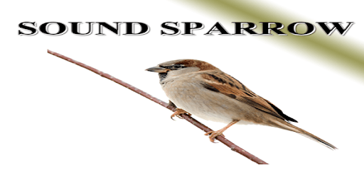 Sparrow PC screenshot
