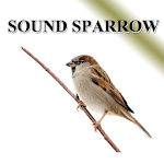Sparrow for PC